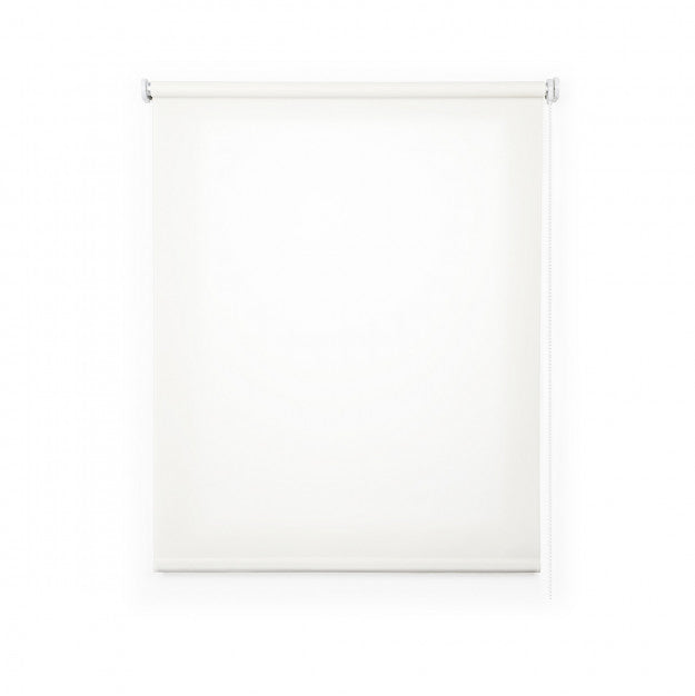 Enrollable Roll-Up translúcido