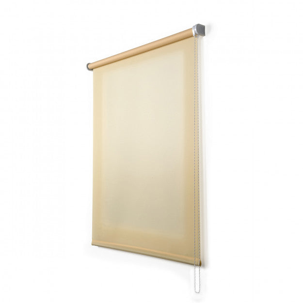 Enrollable Roll-Up translúcido